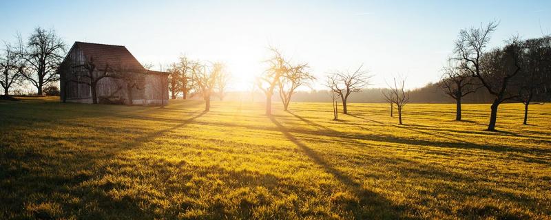 Pavilion 1.0.1 update is live!